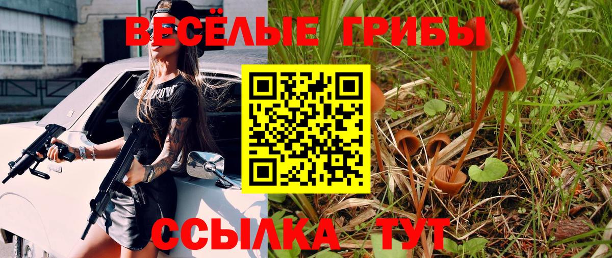 купить наркоту  Вход с VPN  Усть-Лабинск  Галлюциногенные грибы GOLDEN TEACHER 